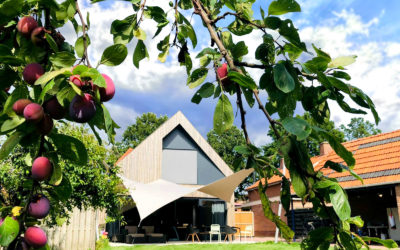 Je huis koel houden in de zomer met een warmtewerende overkapping